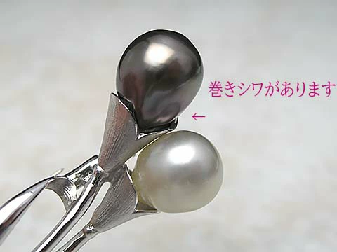 白蝶&黒蝶２コちゃんブローチ - 画像 (3)