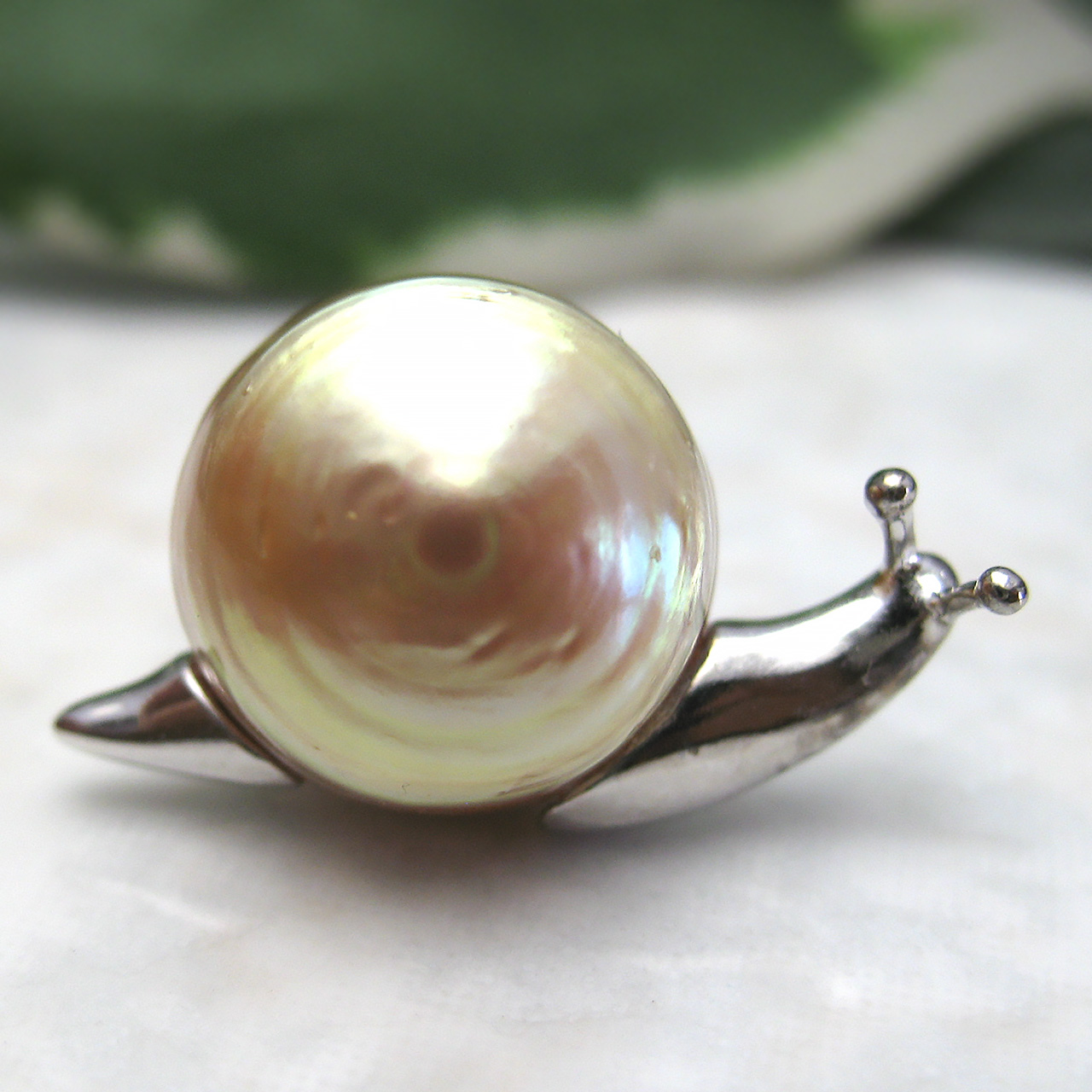 SVかたつむりルース