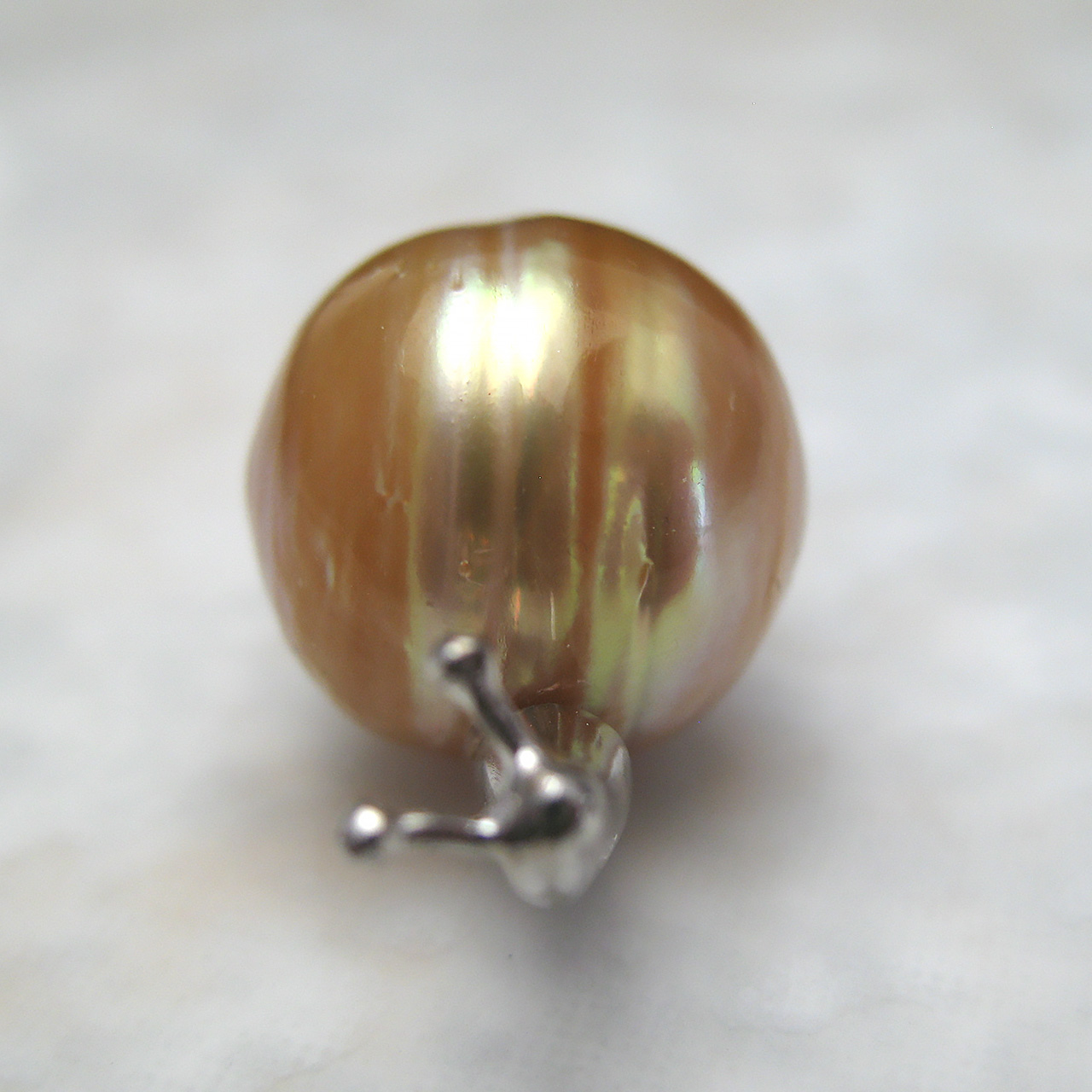 SVかたつむりルース - 画像 (2)