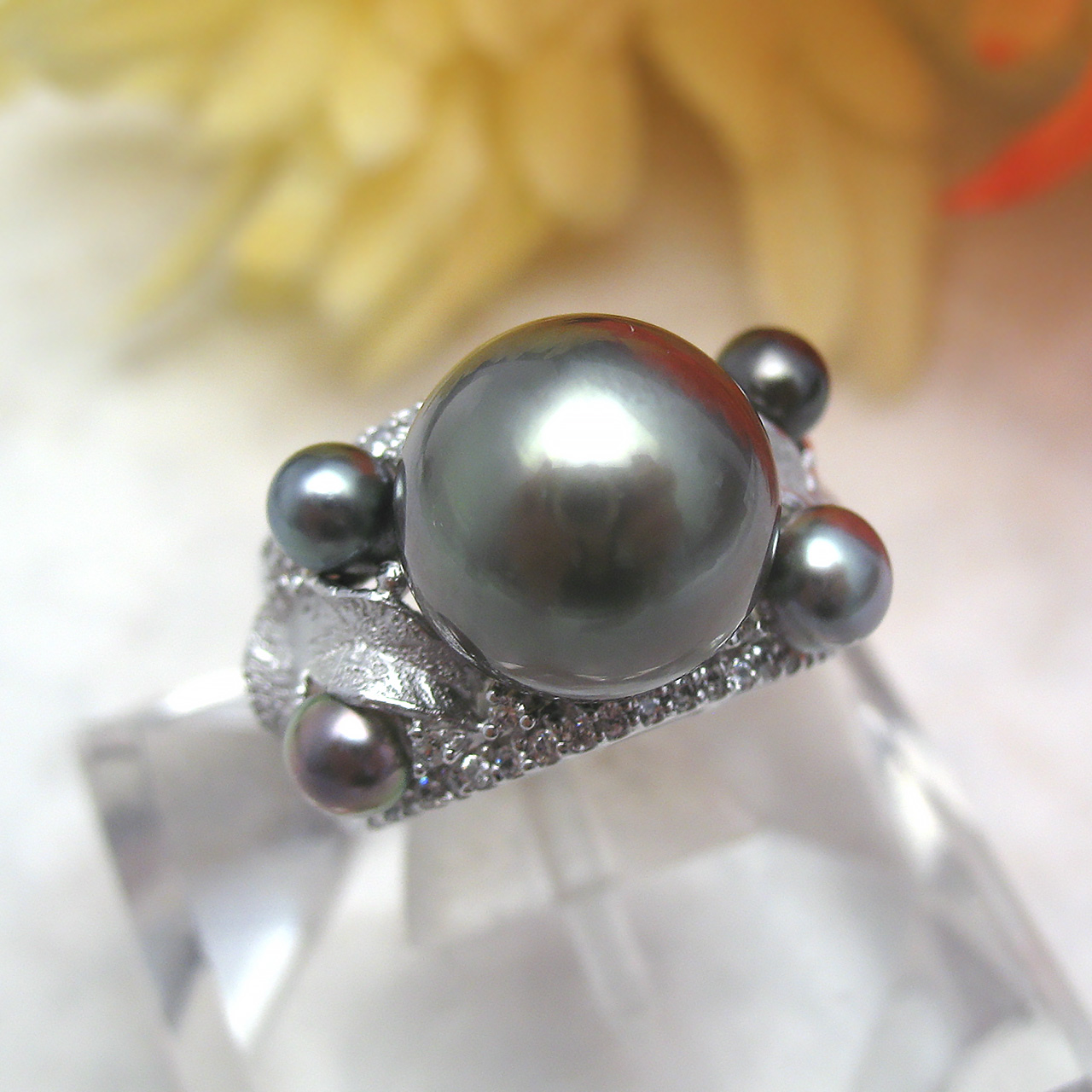 SV 12ミリ黒蝶 &黒蝶ケシリング