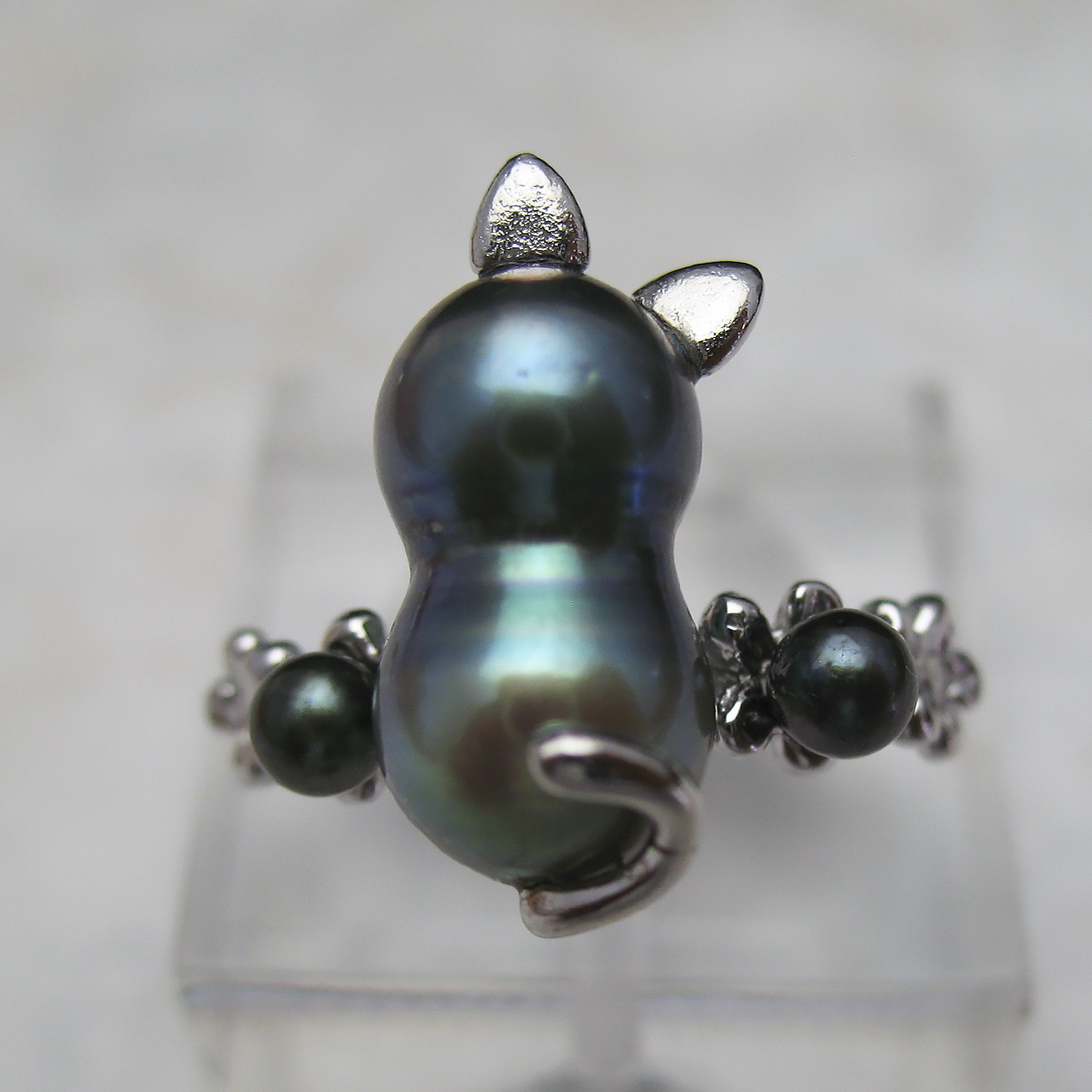 SV黒猫ニャーニュリング - 画像 (2)