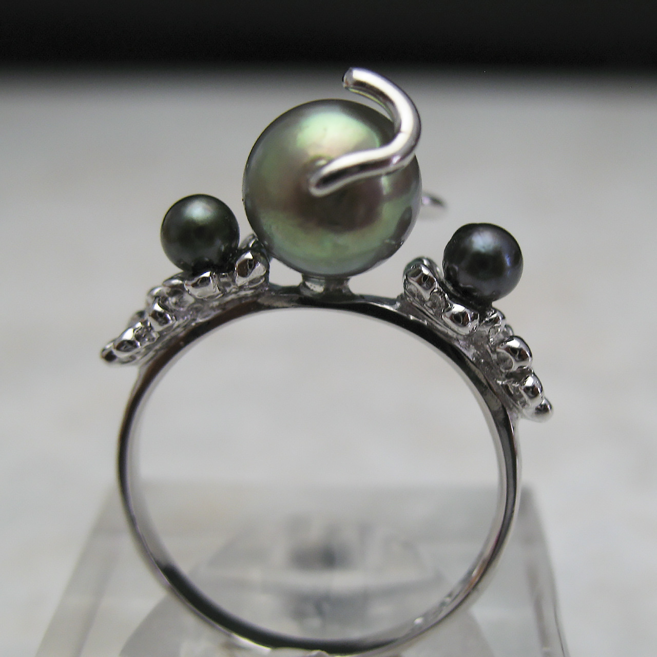 SV黒猫ニャーニュリング - 画像 (5)