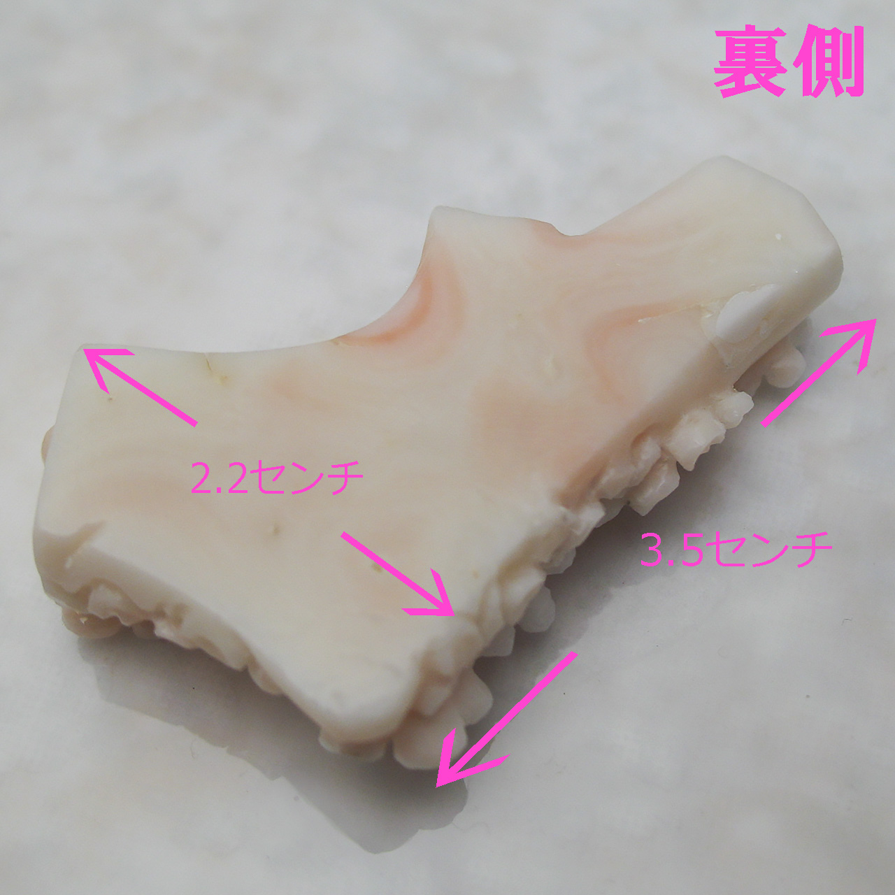 白珊瑚ルース - 画像 (4)