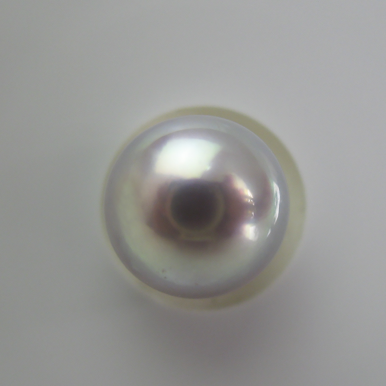 あこやナチュラル　8.4ミリルース - 画像 (2)