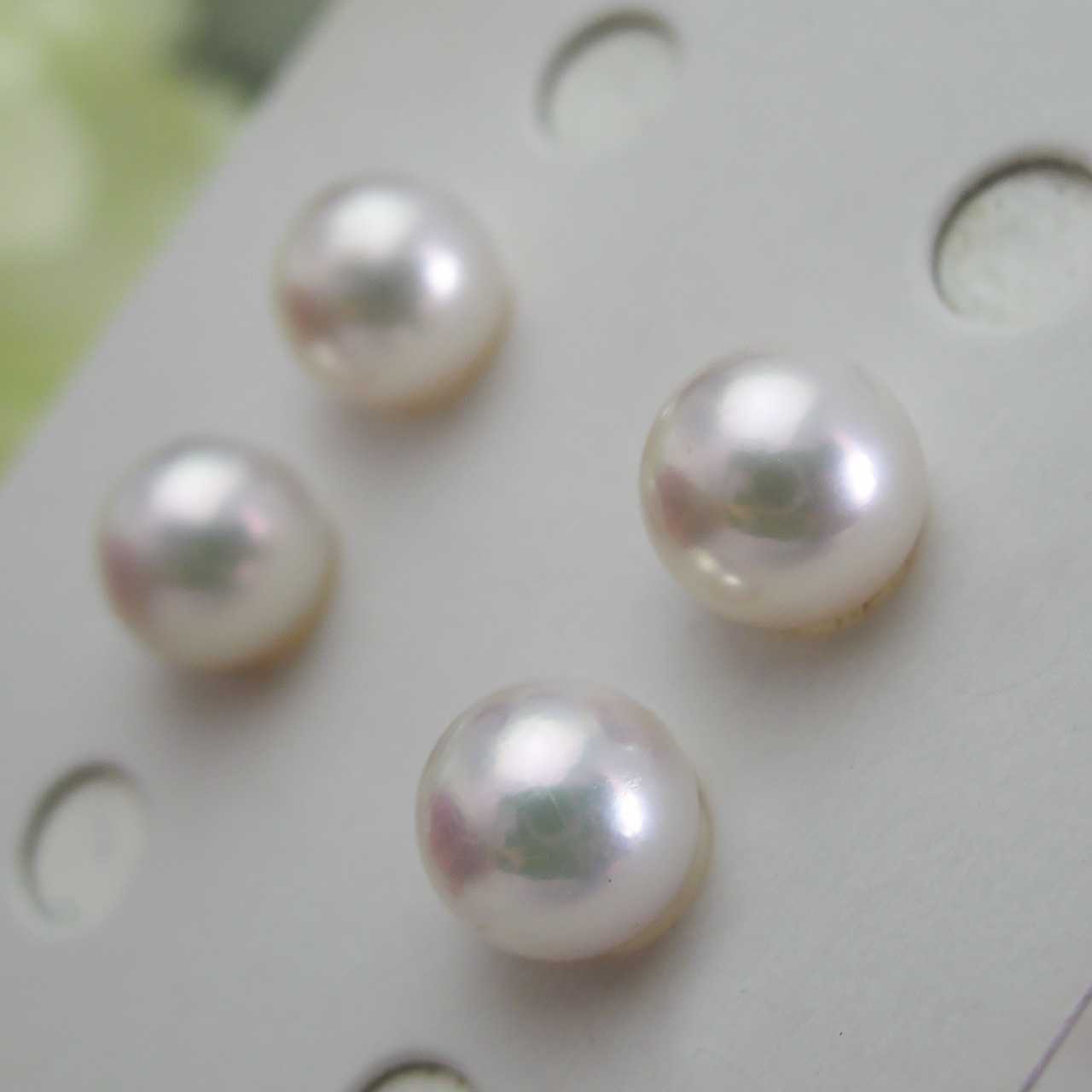 あこや6.9ミリペアルース - 画像 (4)