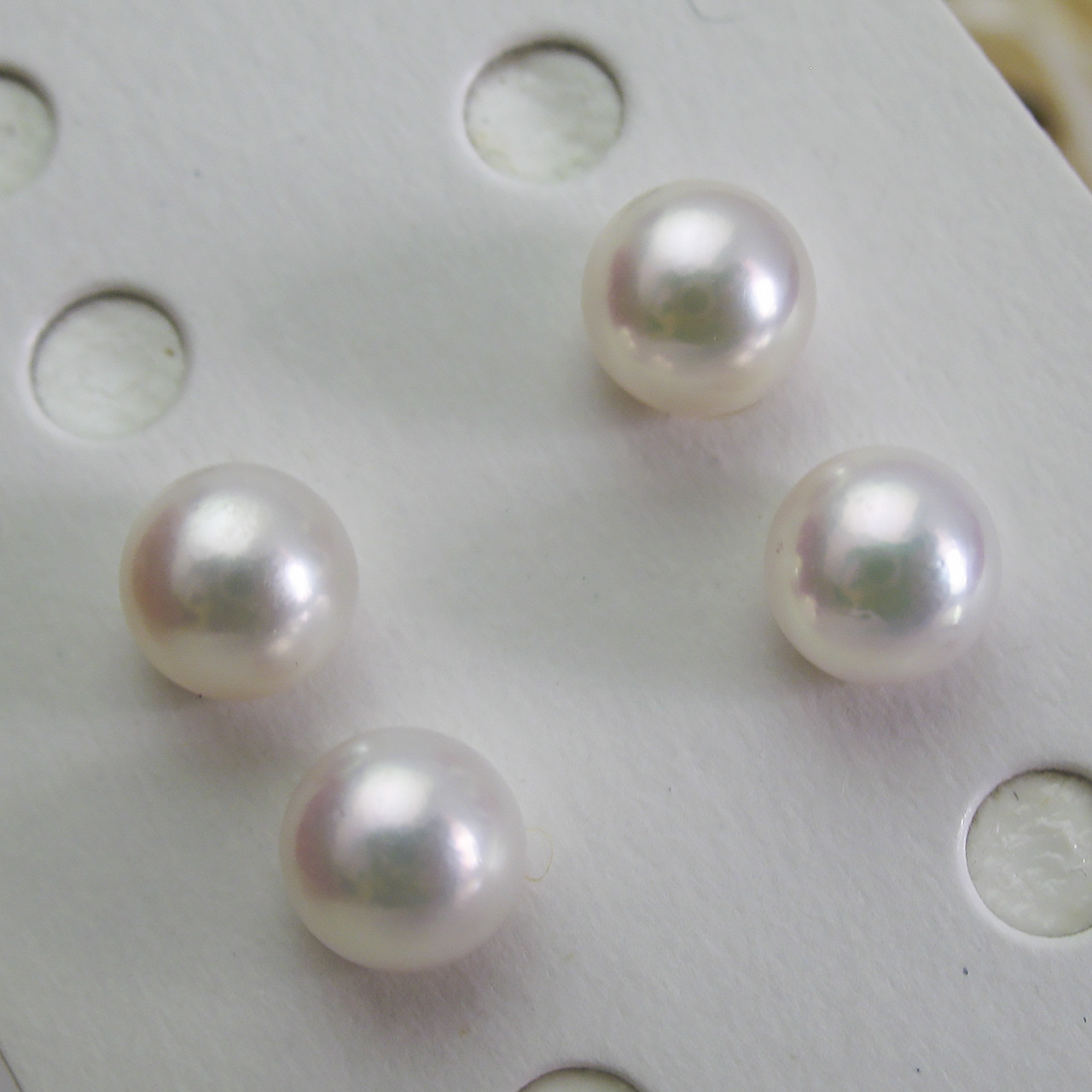 あこや6.9ミリペアルース