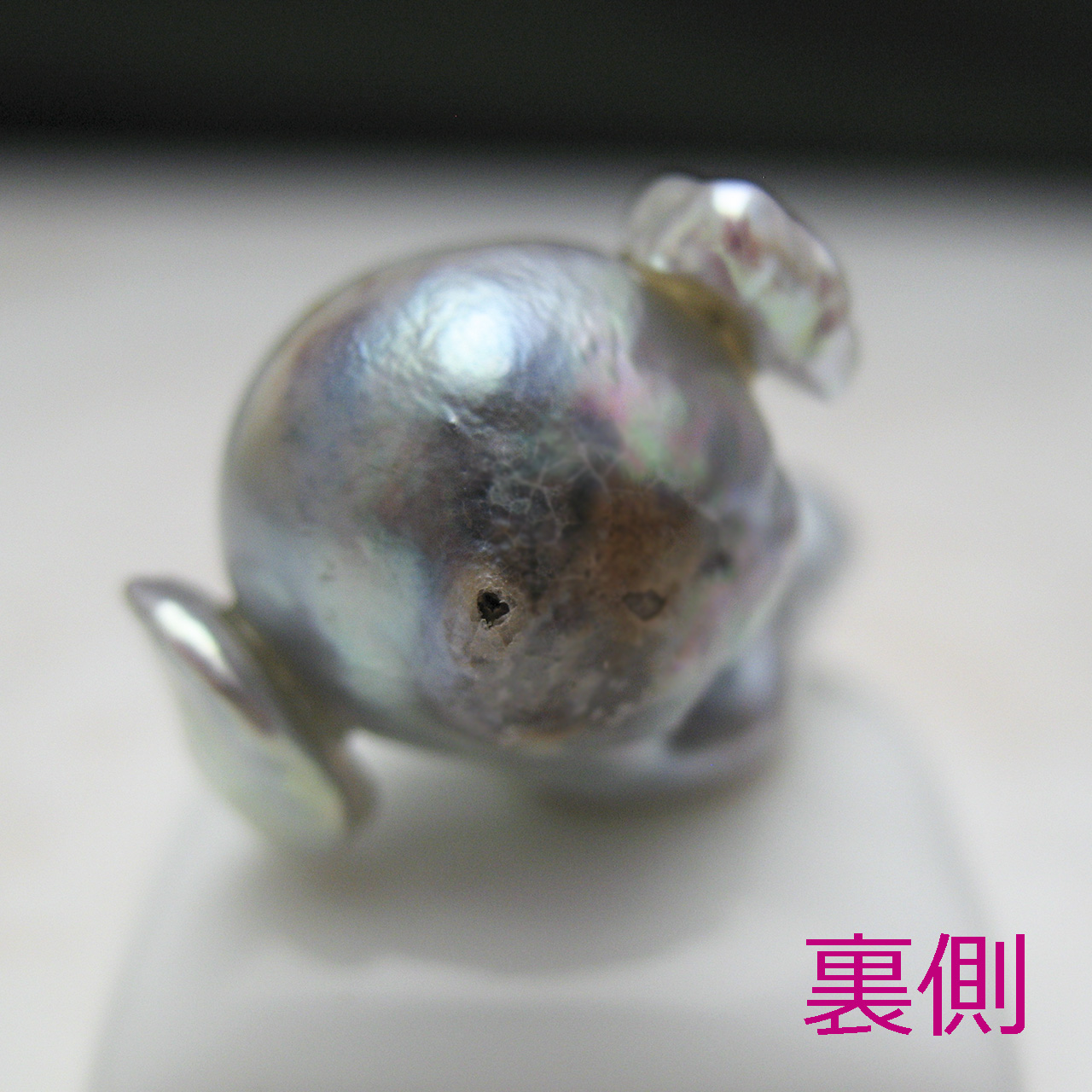 ぞうさん 不思議ちゃん ルース - 画像 (4)