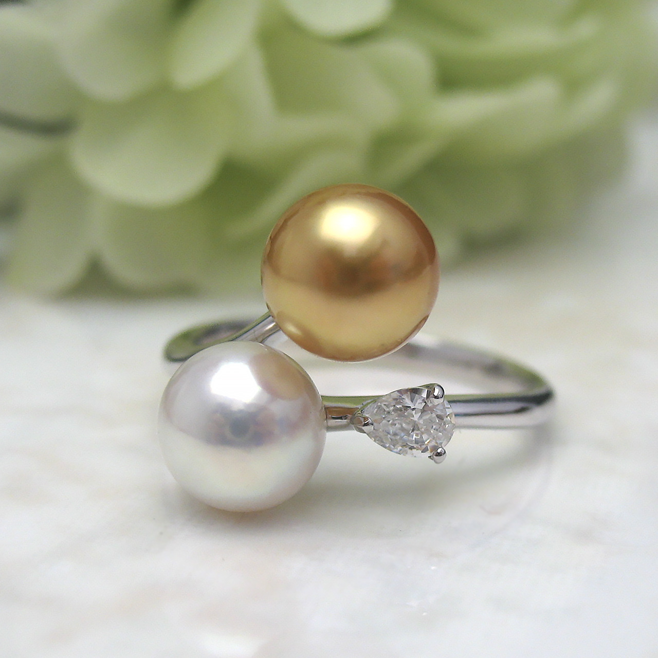 SVあこや&南洋金色リング - 画像 (6)