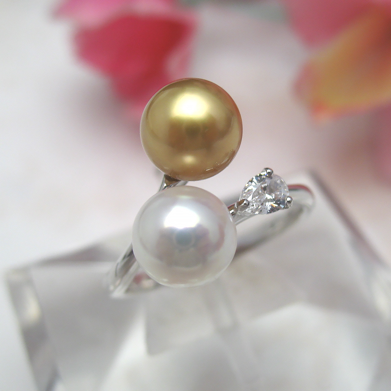 SVあこや&南洋金色リング