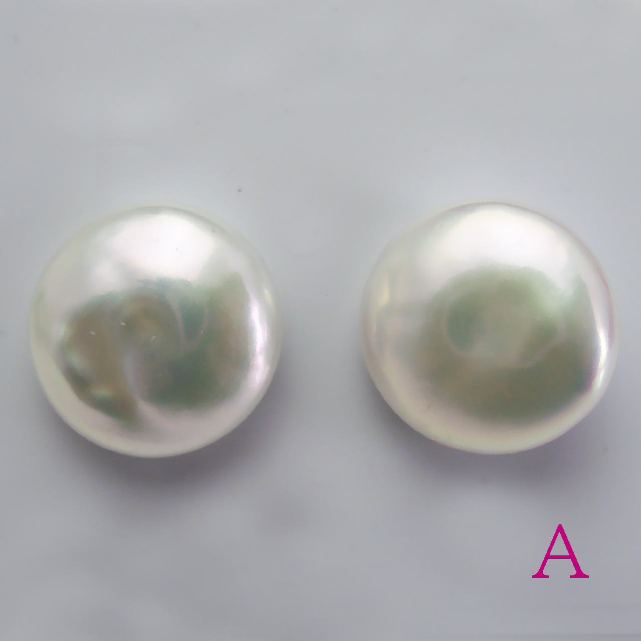 淡水コインシェープペアルース 13ミリアップ - 画像 (2)