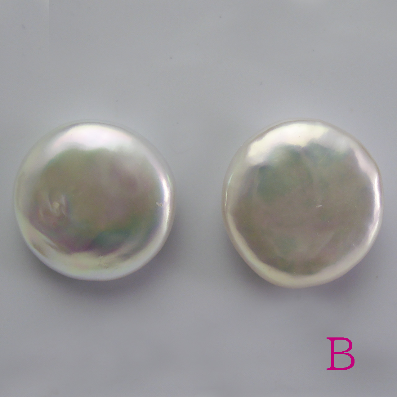 淡水コインシェープペアルース 13ミリアップ - 画像 (3)