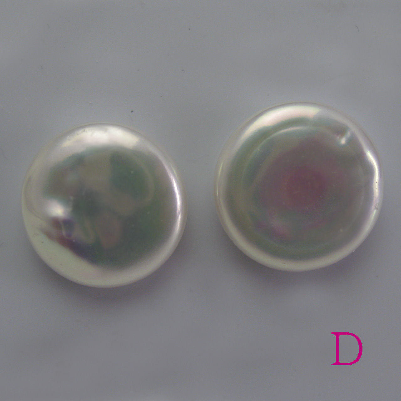 淡水コインシェープペアルース 13ミリアップ - 画像 (5)