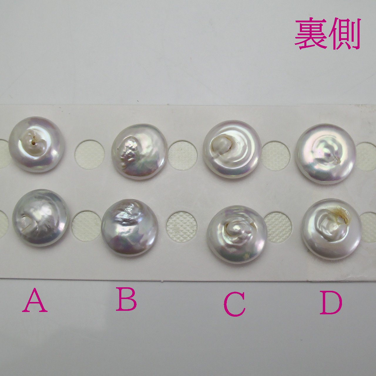 淡水コインシェープペアルース 13ミリアップ - 画像 (7)