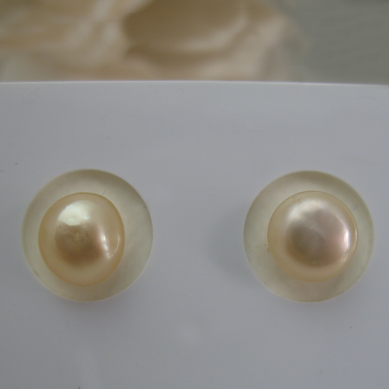 白蝶ケシボタン 6.5ミリ ペアルース 無穴NEKー11