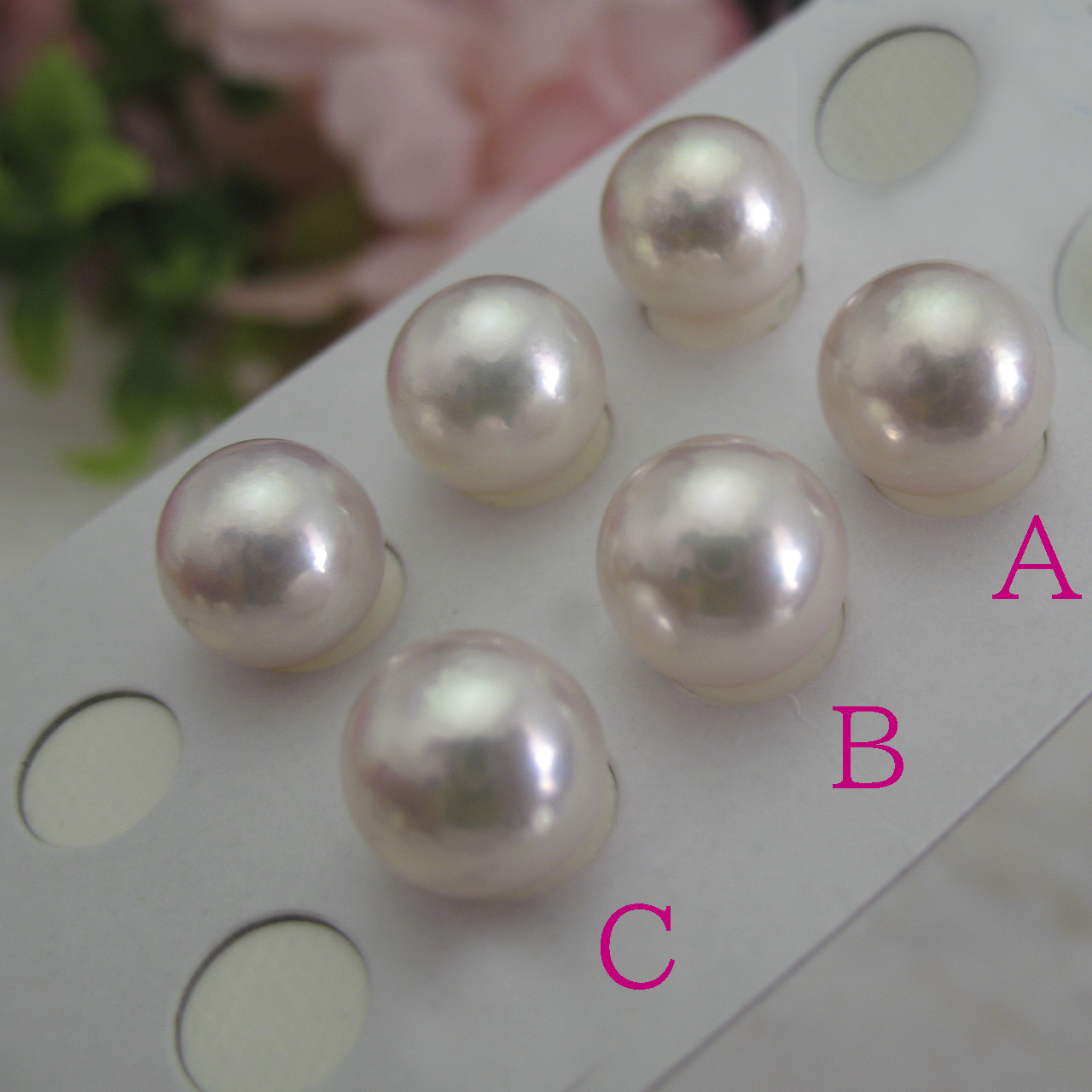 あこや真珠 10ミリ ペアルース - 画像 (7)