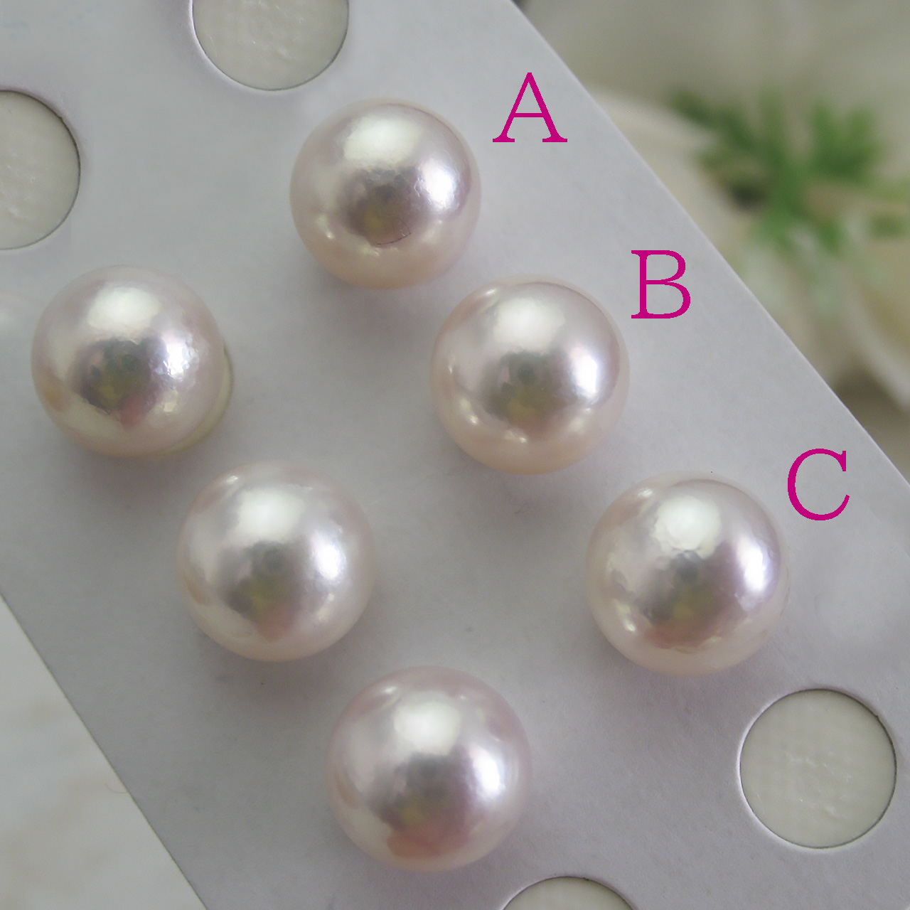 あこや真珠 10ミリ ペアルース