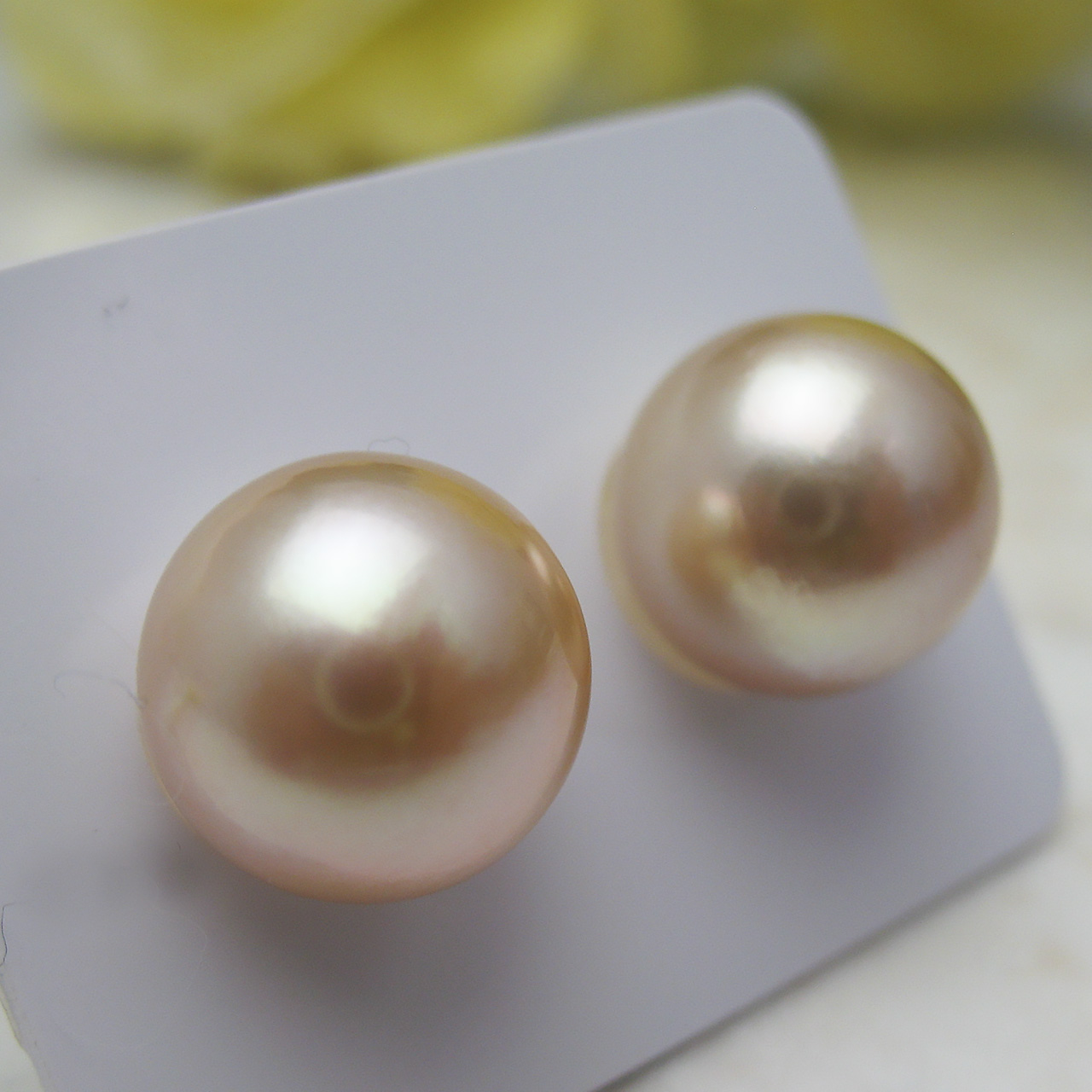 南洋金色12.5ミリペアルース(無穴)