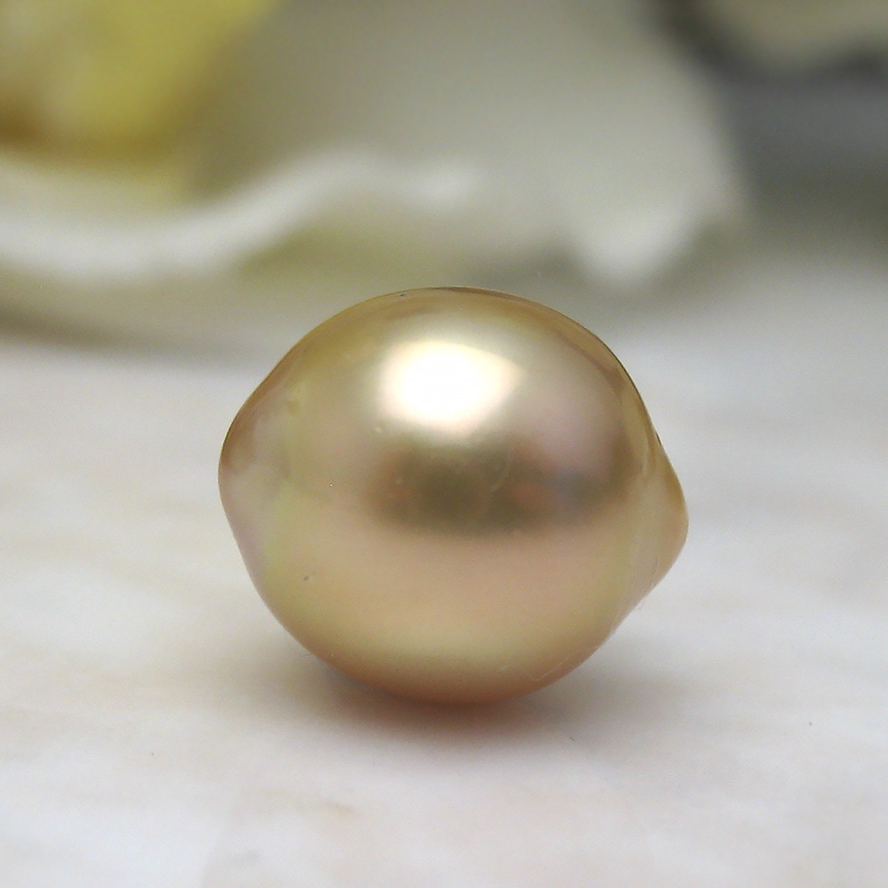 南洋金色9ミリルース　レモンちゃん - 画像 (5)