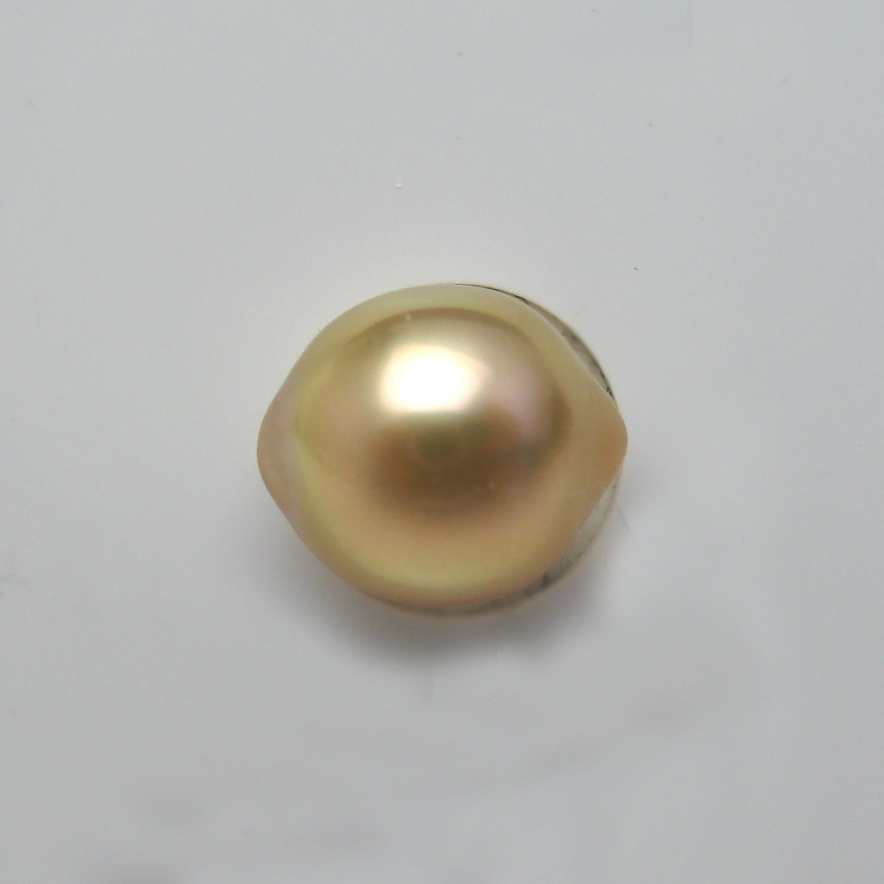 南洋金色9ミリルース　レモンちゃん - 画像 (2)