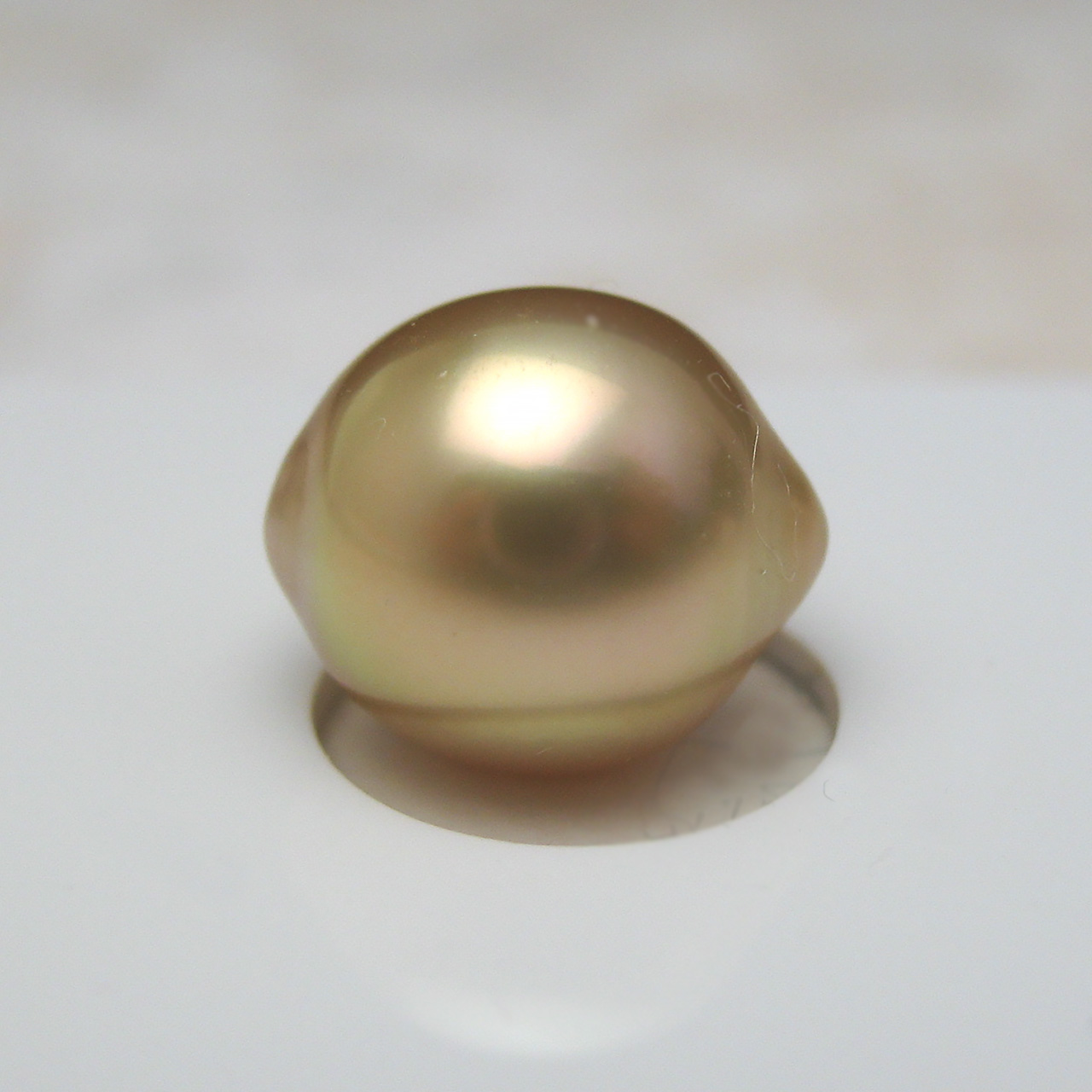 南洋金色9ミリルース　レモンちゃん - 画像 (3)