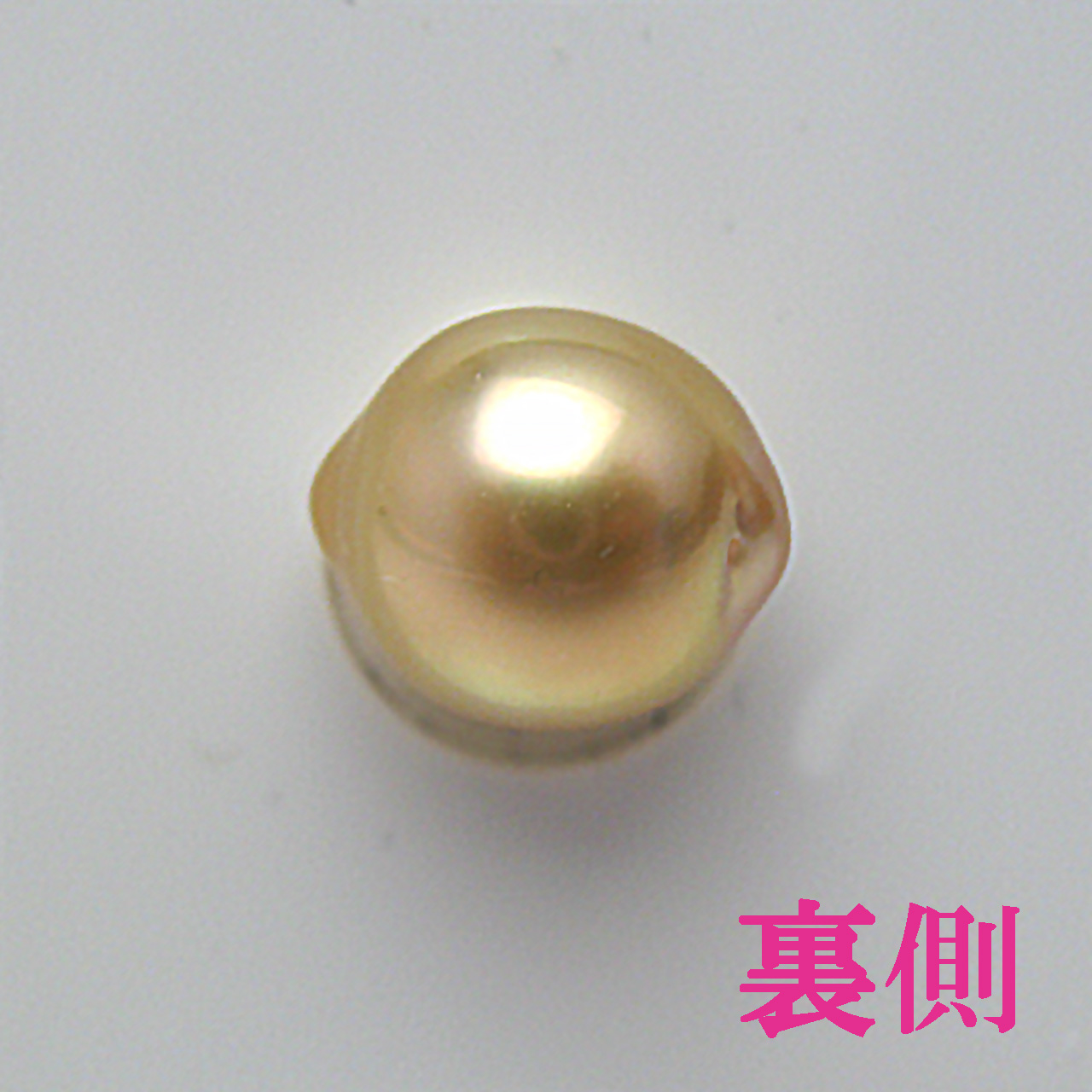 南洋金色9ミリルース　レモンちゃん - 画像 (4)