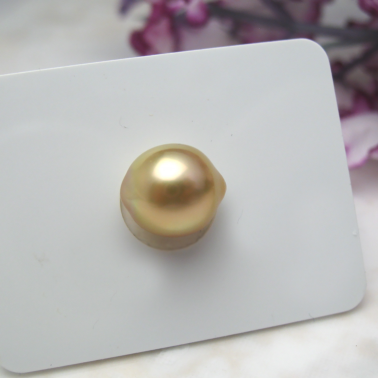 南洋金色9ミリルース レモンちゃん