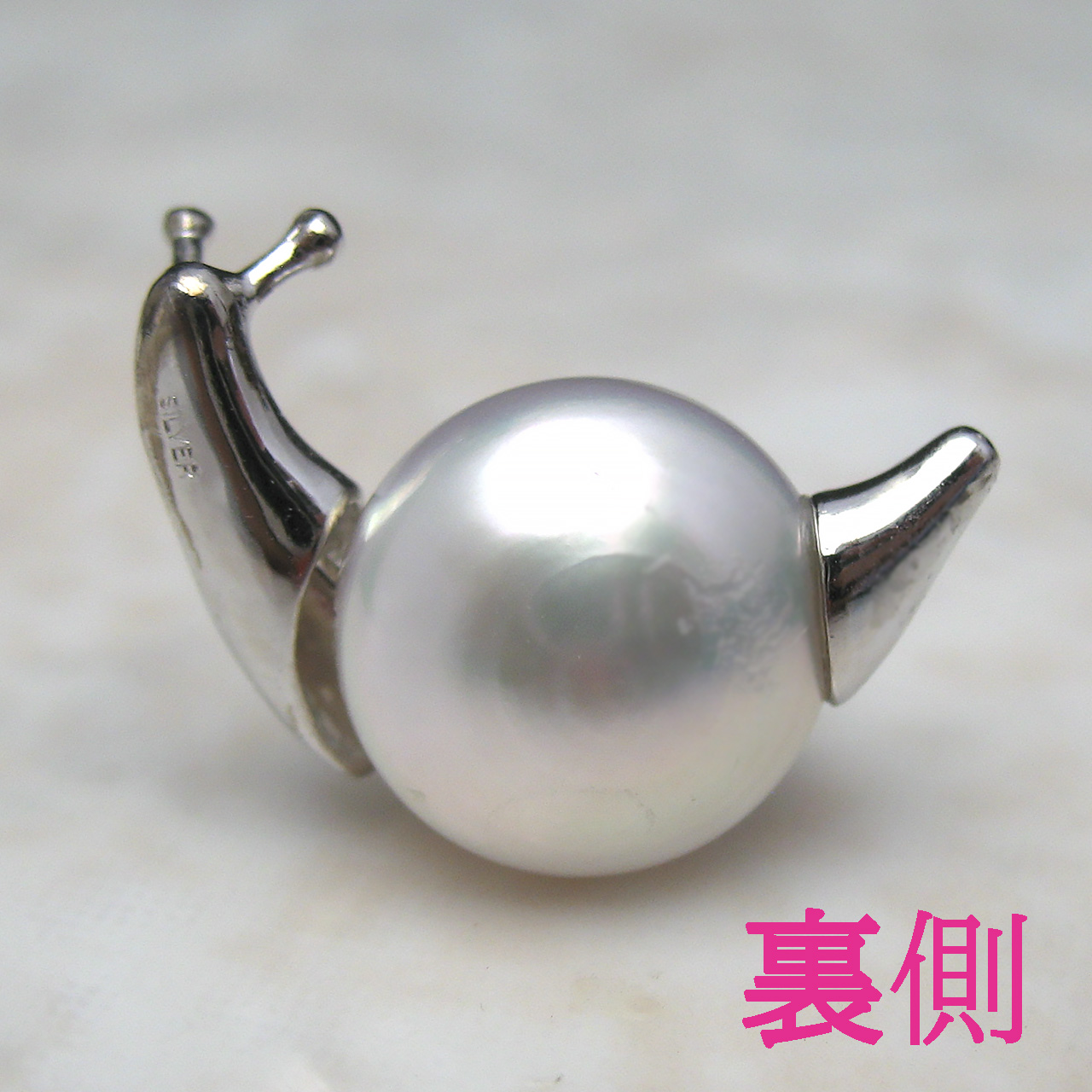 SV南洋白蝶かたつむりルース - 画像 (3)