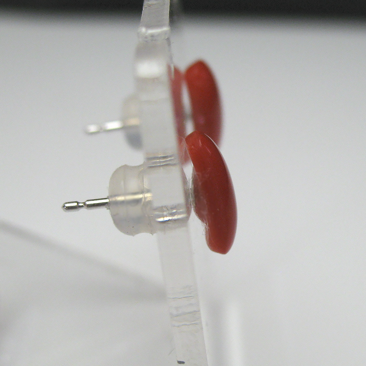 Bijoux fromsea K14WG血赤珊瑚 ピアス - 画像 (5)